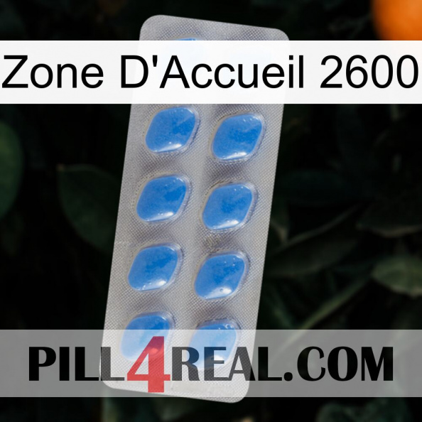 Home Zone 2600 22.jpg